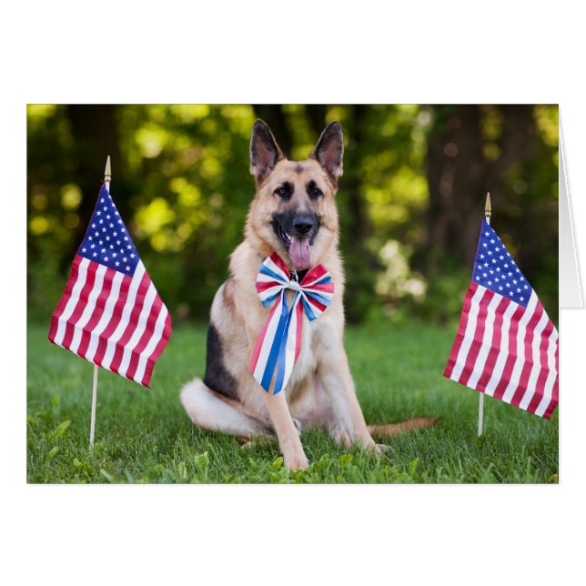 Cartão Cão "falcão " do salvamento (Frente Horizontal)