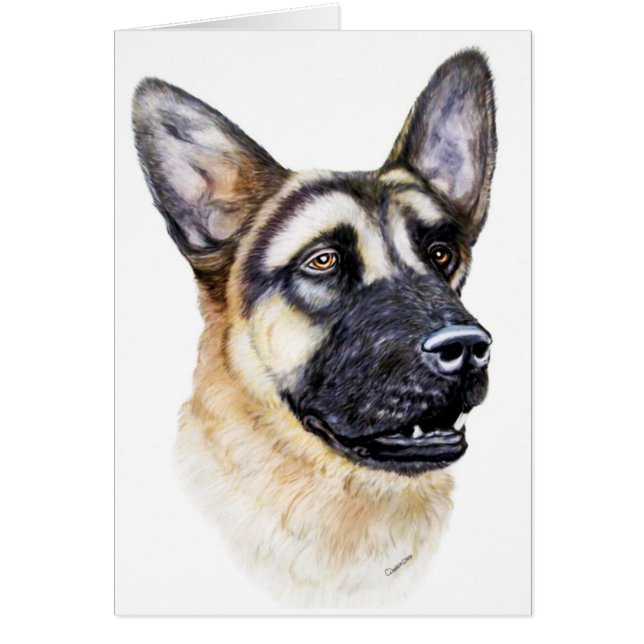 Cartão Cão german shepherd (Frente)