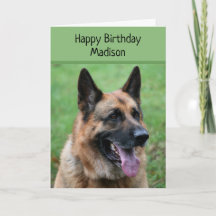 Cão german shepherd, Parabéns, personalizado