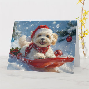 Cartão Cão Havanês no Trenó Deixe Nevar Natal
