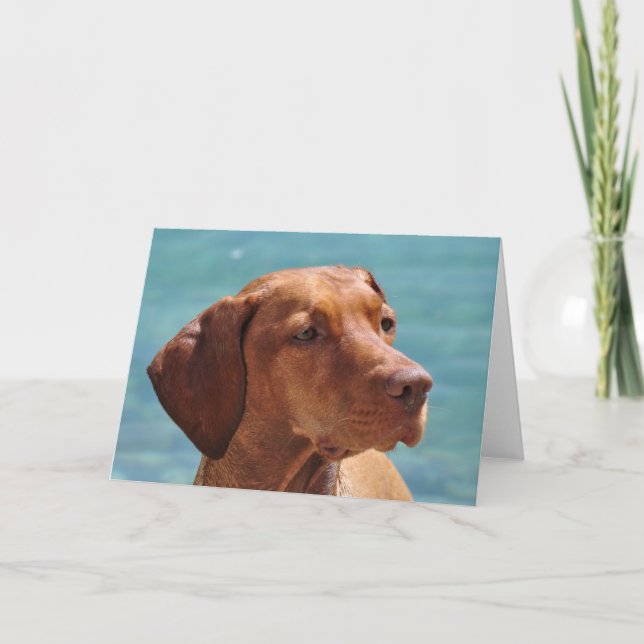Cartão Cão Magyar Vizsla (Frente)