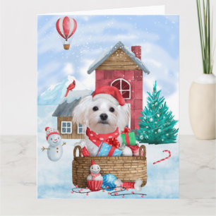 Cartão Cão Maltês na Casa de Natal na Neve