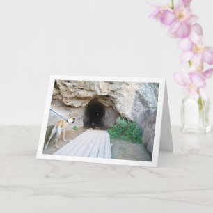 Cartão Cão na Caverna