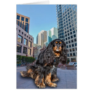 CARTÃO CÃO NA CIDADE