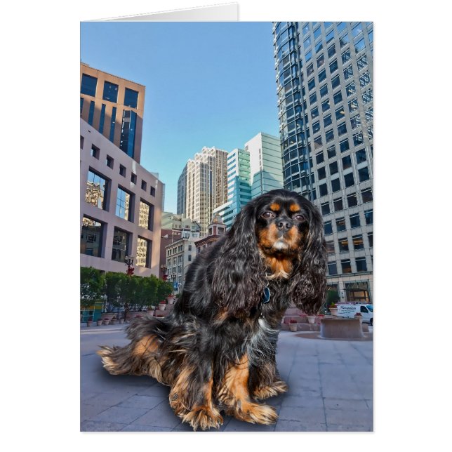 CARTÃO CÃO NA CIDADE (Frente)