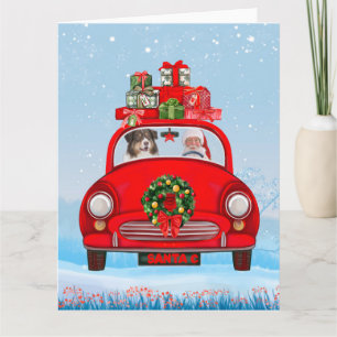 Cartão Cão pastor australiano no carro com Papai Noel 