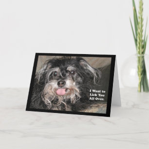 Cartão "Cão pequeno Joey: "Eu quero lambê-lo por todo o