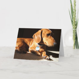 Cartão Cão-Pet Dachshund