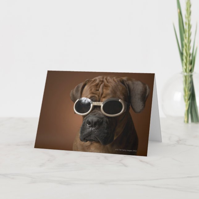 Cartão Cão que veste óculos de sol (Frente)