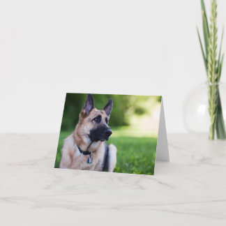 Cartão Cão "relação " do salvamento