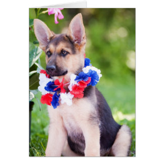 Cartão Cão "Rilie " do salvamento