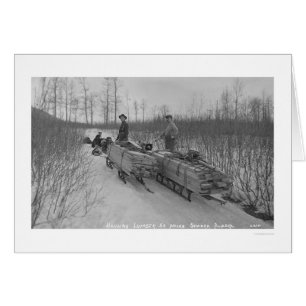 Cartão Cão Seward da madeira serrada, Alaska 1917