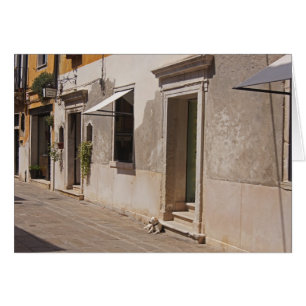 Cartão Cão Venetian