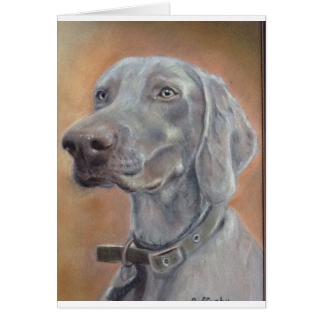 Cartão Cão Weimaraner (Frente)