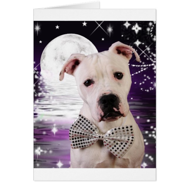 Cartão Cãozinho (Frente)