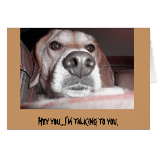 Cartão Cãozinho sério