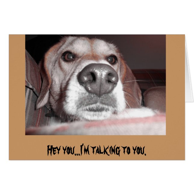 Cartão Cãozinho sério (Frente horizontal)