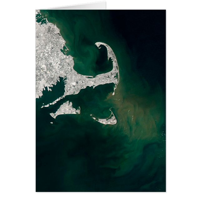 Cartão Cape Cod, Martha's Vineyard e Nantucket (Frente)