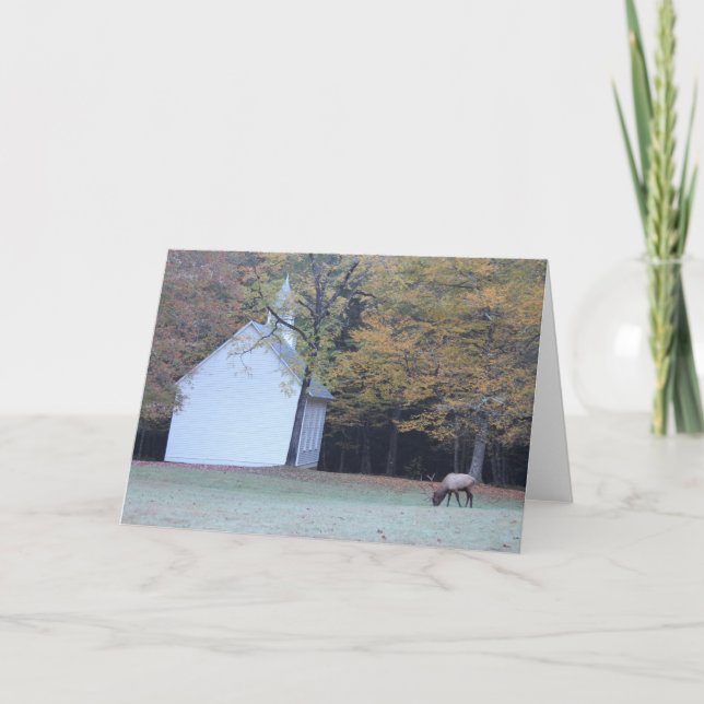 Cartão Capela e alces de Palmer (Frente)