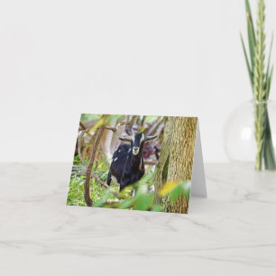 Cartão Capim sorridente