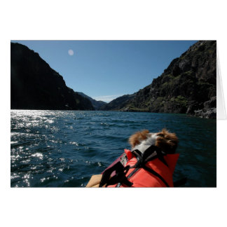 Cartão Capitão Brit