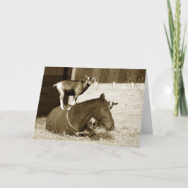 Cartão Caprino em Cavalo Paciente