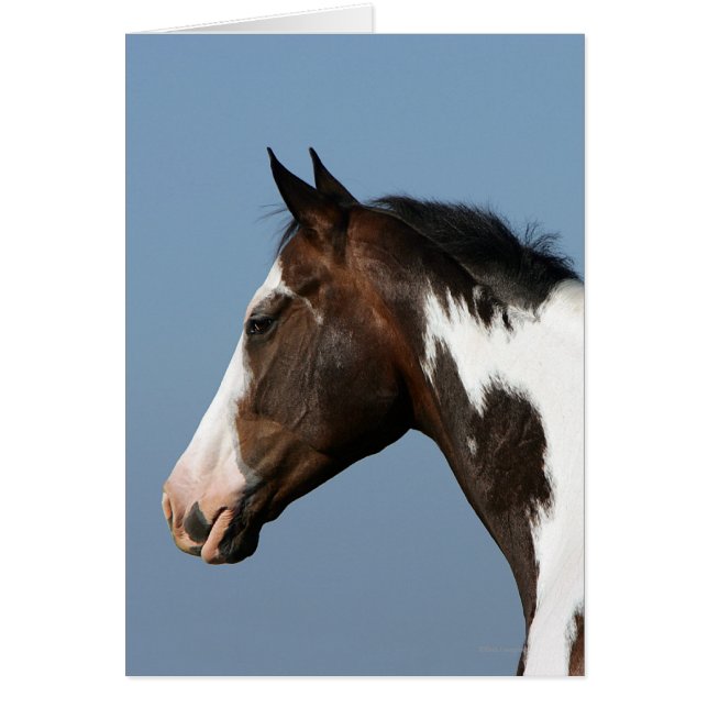 Cartão Captura de Cabeça de Tinta Horse 1 (Frente)