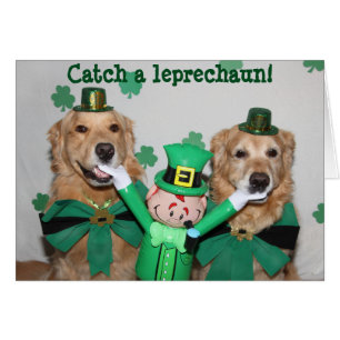 Cartão Captura do golden retriever um Leprechaun