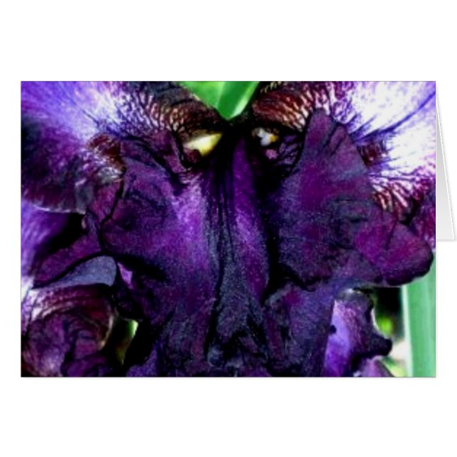 Cartão cara de abóbora (Frente Horizontal)