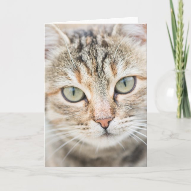 Cartão Cara de gato (Frente)