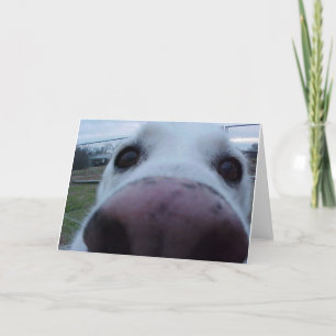 Cartão Cara do cão de filhote de cachorro