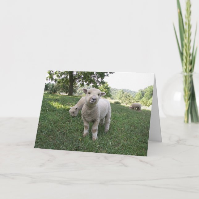 Cartão Cara engraçada (Frente)