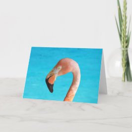 Cartão Cara flamingo rosa contra água azul em