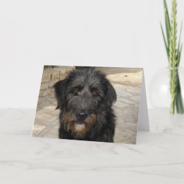 Cartão Cara peludo do cão preto