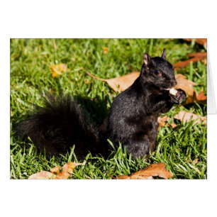 Cartão Cara pequena nervosa