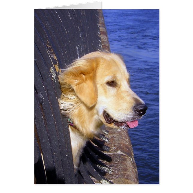 Cartão Cara... QUERIA SABER COMO NATAÇÃO! (Frente)