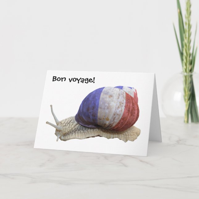 Cartão Caracol-de-bandeira francês (Frente)