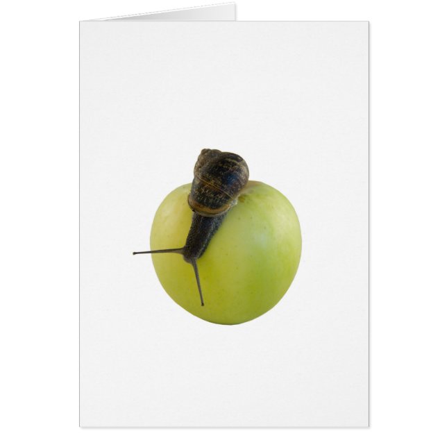 Cartão Caracol e maçã (Frente)