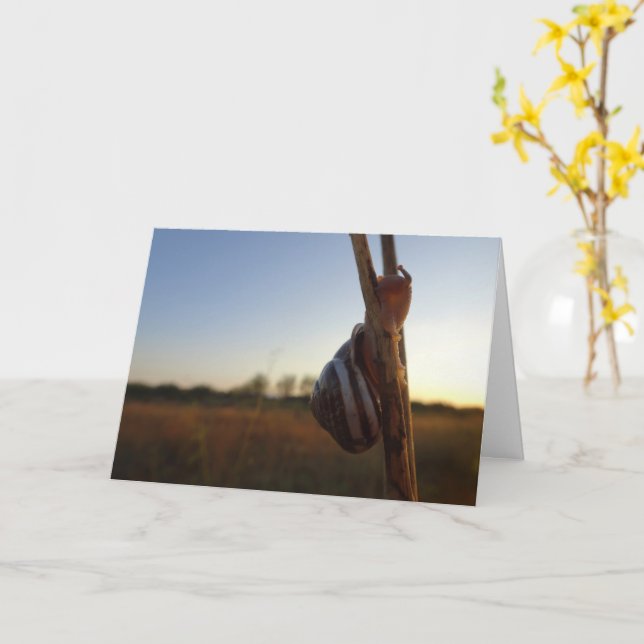 Cartão Caracol em um Stem (Flor Amarela)