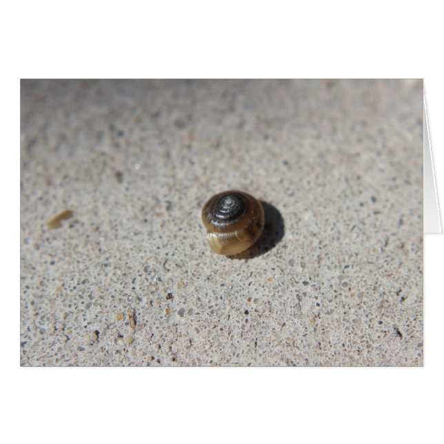 Cartão Caracol Louco (Frente Horizontal)