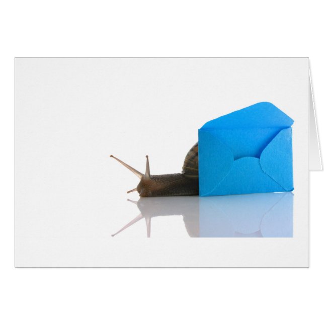 Cartão Caracol Mail (Frente Horizontal)