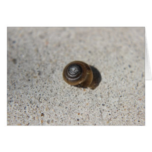Cartão Caracol preguiçoso