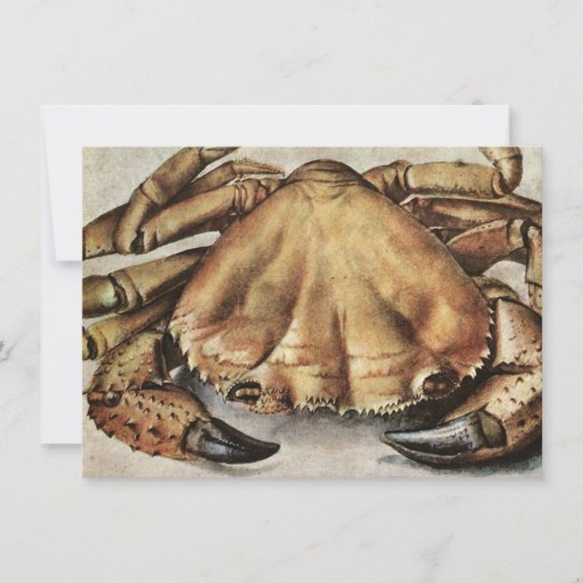 Cartão Caranguejo (Criatura sob o mar) (por Albrecht Dure (Frente)