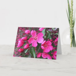 Cartão Caranguejo-Flor Rosa