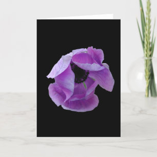 Cartão Card, A Perfect Purple Poppy # 1