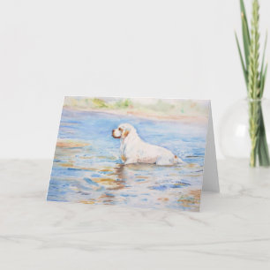 Cartão card - Reflection - Clumber Spaniel