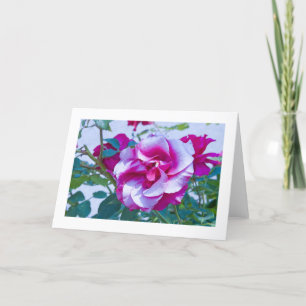 Cartão Card, Rose # 232