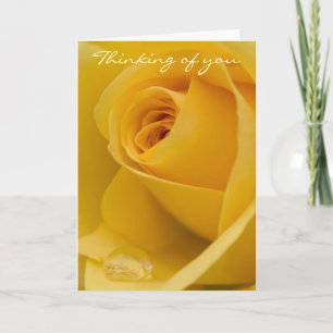 Cartão Card - Thinking of you Yellow Rose with Rain