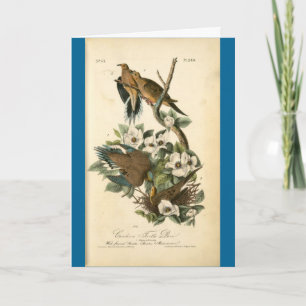 Cartão Card - Vintage Turtle Doves - Happy Birthday