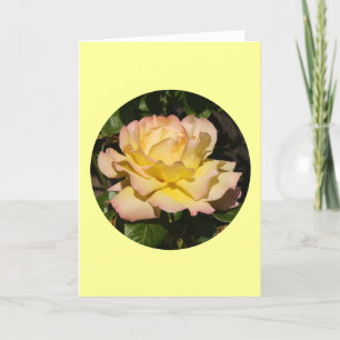 Cartão Card, Yellow Pink Blush Rose" P-1